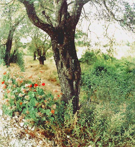 Griechische Landschaft
